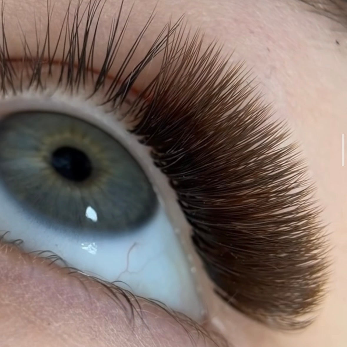 Eyelash Extensions Brown Collection Mix XXL  – Tobacco  / 0.07 mm – 25 Lines Qu.Like You