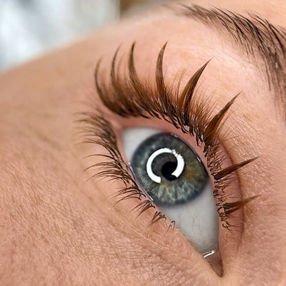 Eyelash Extensions Brown Collection Mix XXL  – Praline / 0.07 mm – 25 Lines Qu.Like You